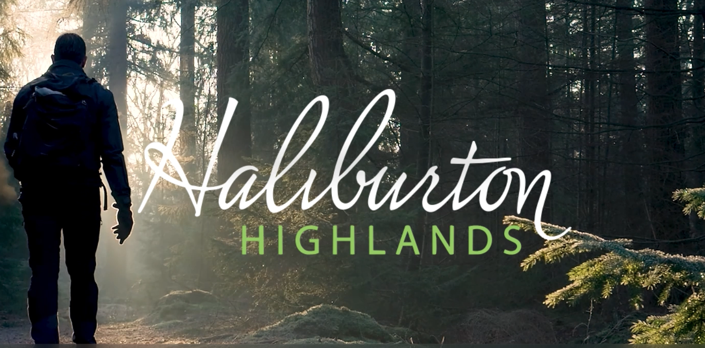Haliburton Infographic