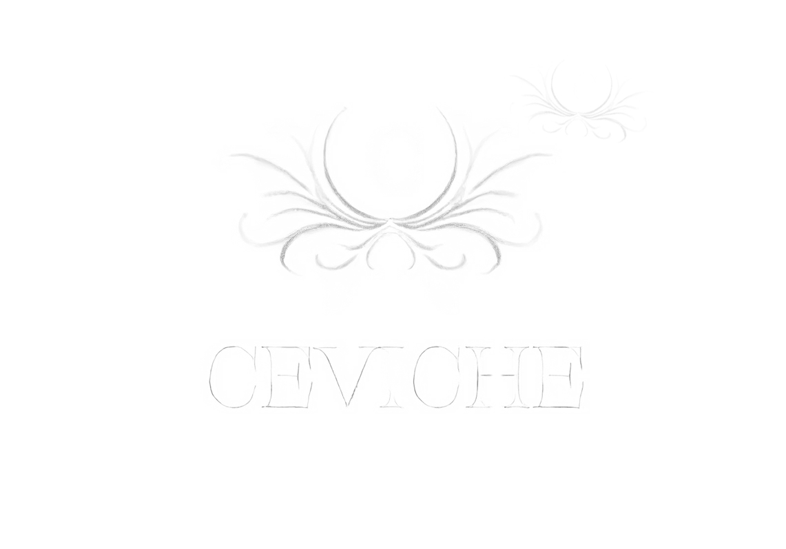 Pencil Ceviche — food photography